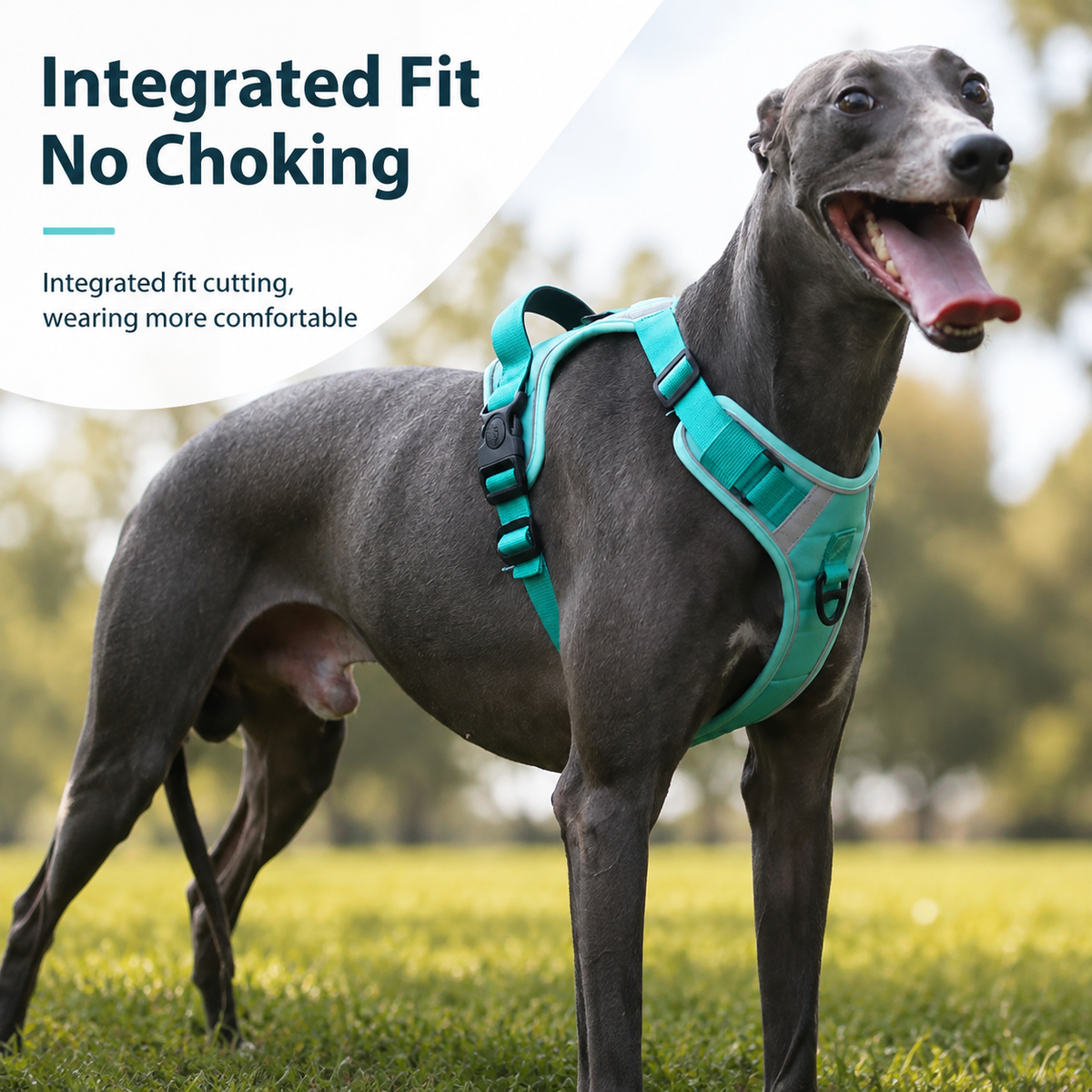 Breathable I-Style No-Pull Dog Harness for Large Dogs, Escape-Resistant and No-Choke